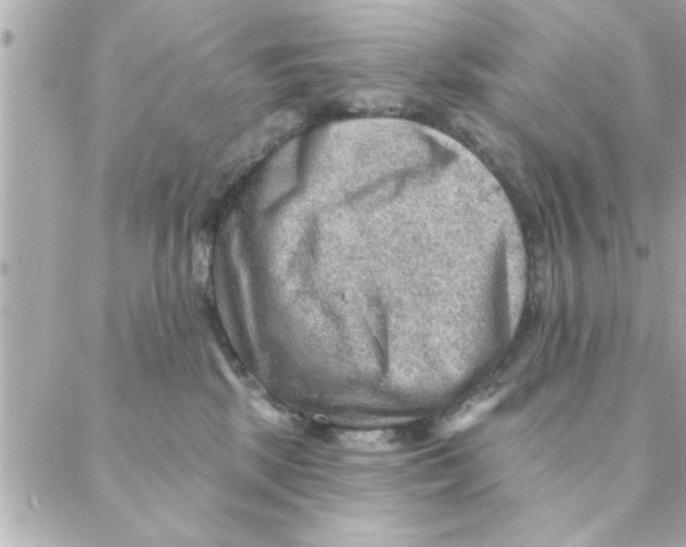 X0000088160281200706051059