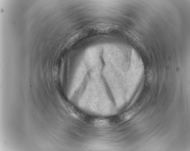 X0000088160283200706051059