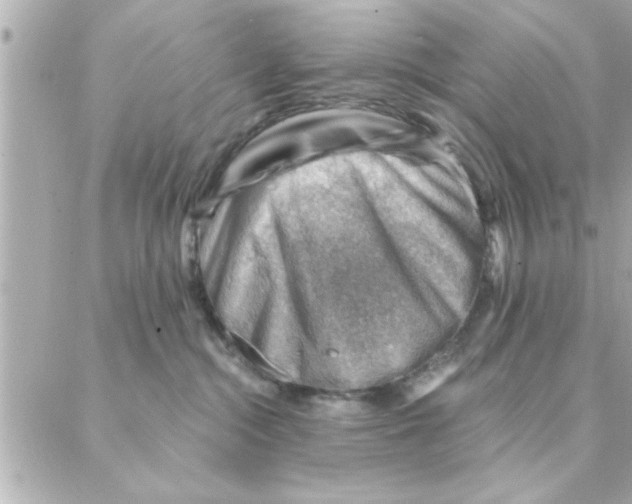 X0000088160284200706051059