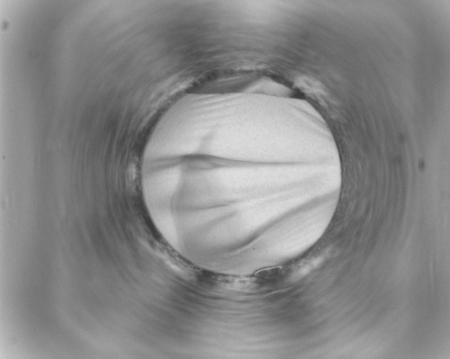 X0000088160288200706051059