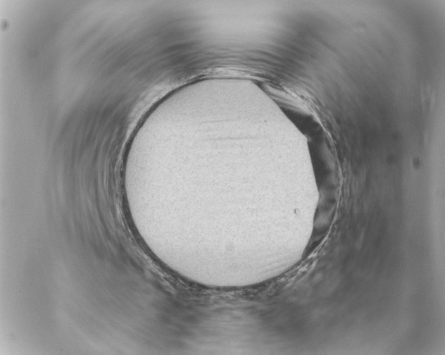 X0000088160289200706051058