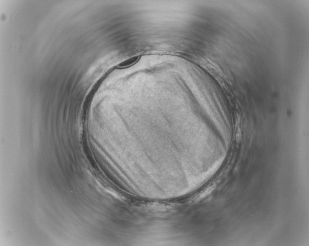 X0000088160290200706051058