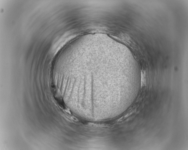 X0000088160291200706051058