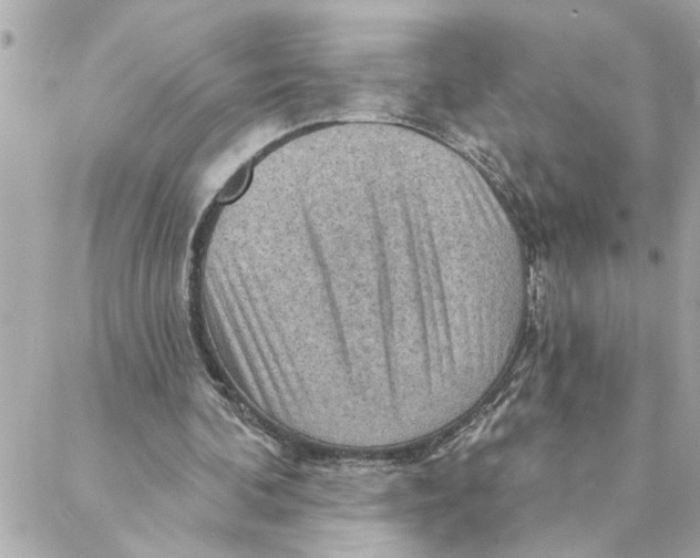 X0000088160292200706051058