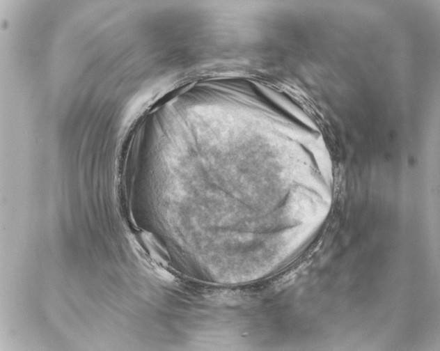 X0000088160293200706051058