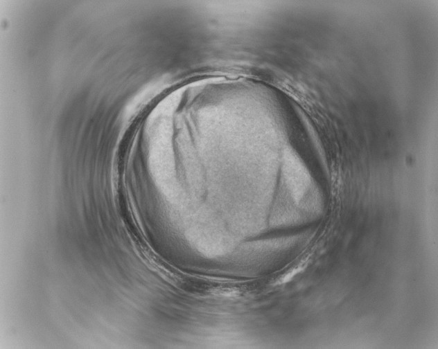 X0000088160294200706051058