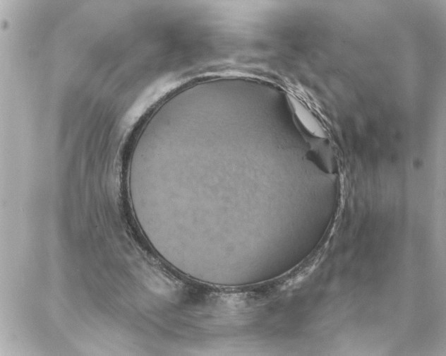 X0000088160295200706051058