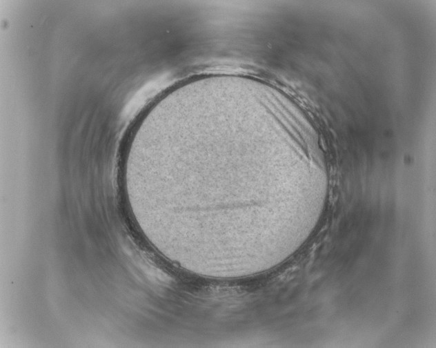 X0000088160296200706051058