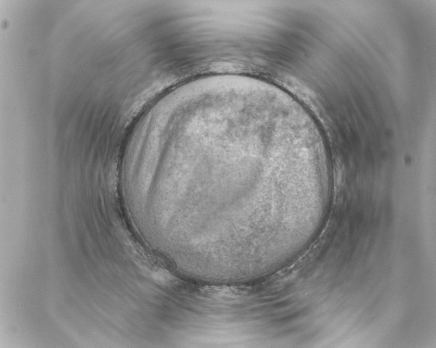 X0000088160297200706051058