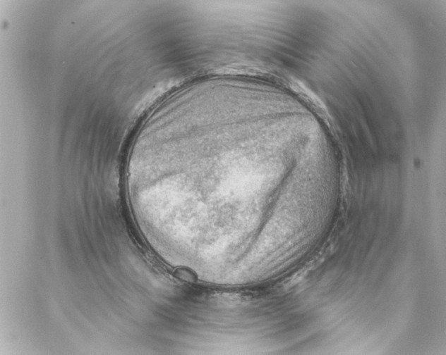 X0000088160298200706051058