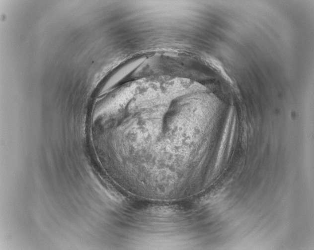 X0000088160299200706051058