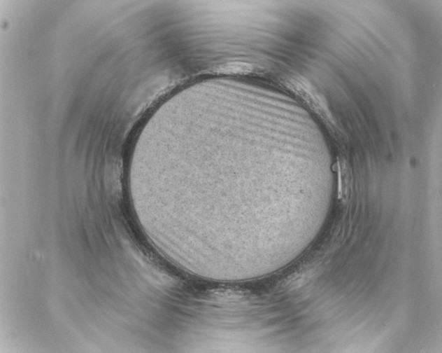 X0000088160300200706051058