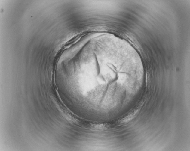 X0000088160301200706051058