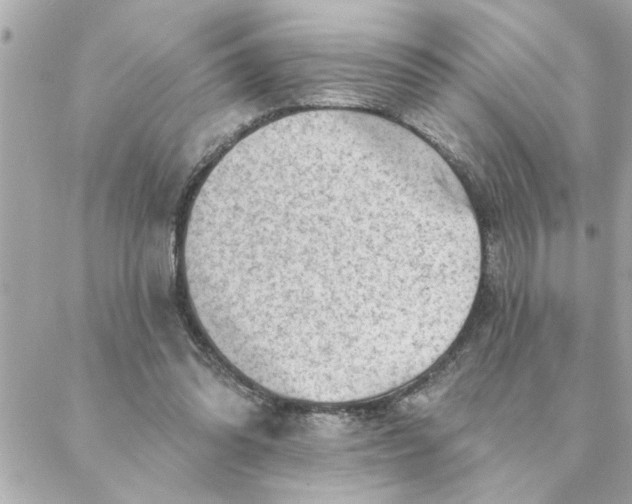 X0000088160302200706051058