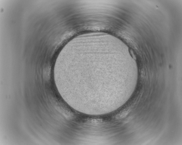 X0000088160304200706051058