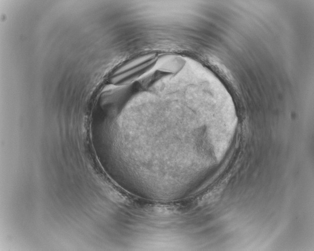 X0000088160305200706051058