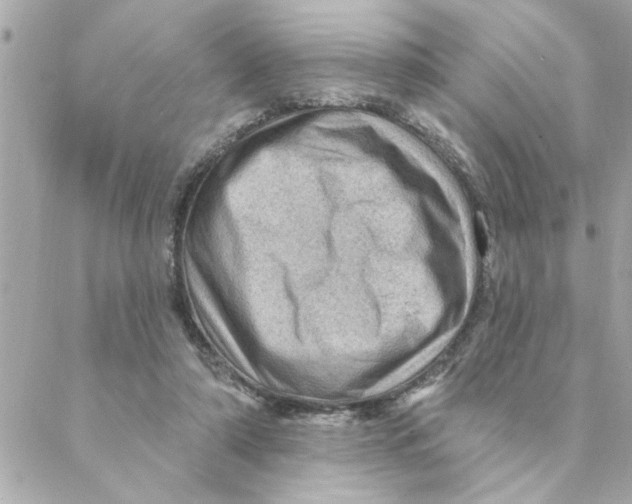 X0000088160306200706051058