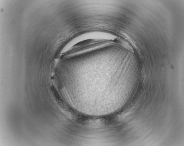 X0000088160307200706051058