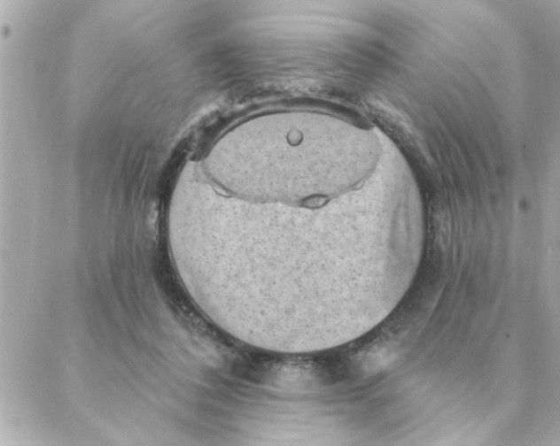 X0000088160308200706051058