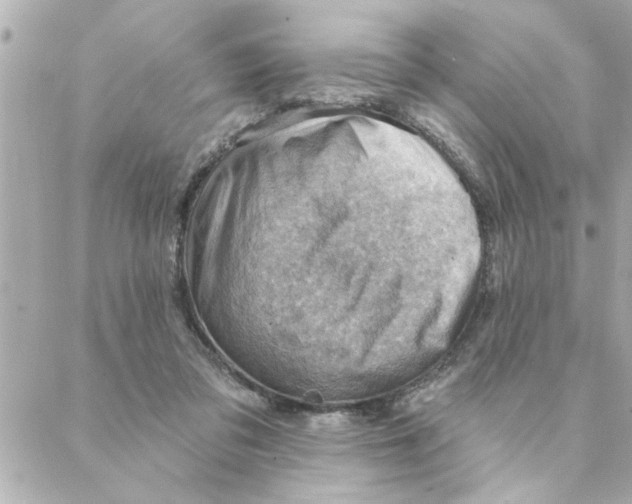 X0000088160309200706051058