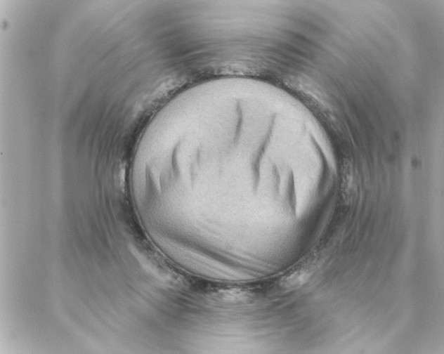 X0000088160310200706051058