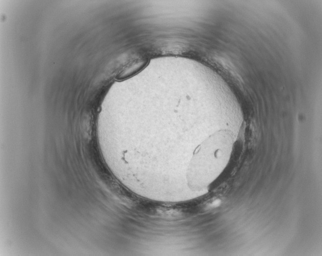 X0000088160311200706051058