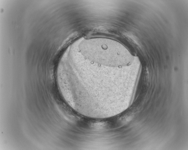 X0000088160312200706051058