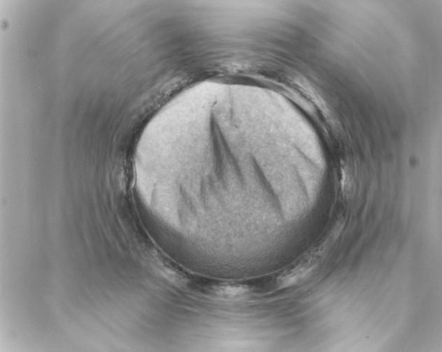 X0000088160313200706051058