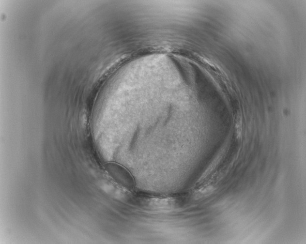 X0000088160314200706051058