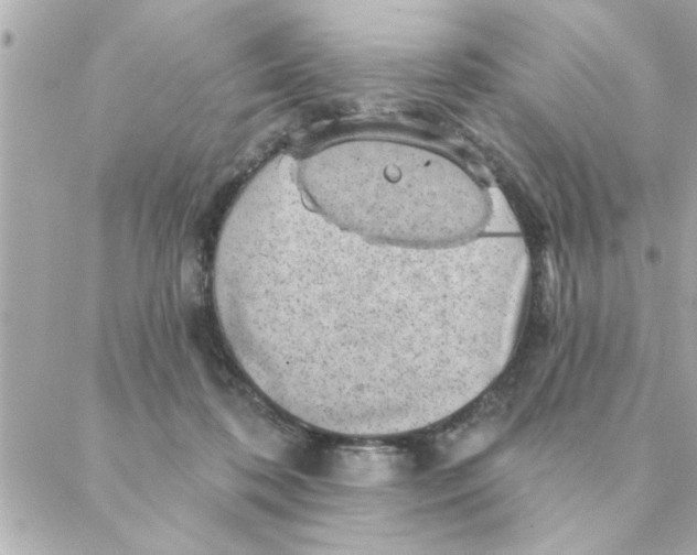 X0000088160316200706051058