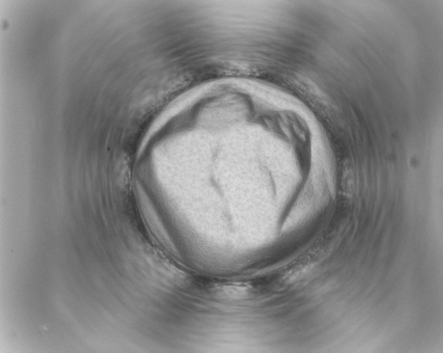 X0000088160318200706051058