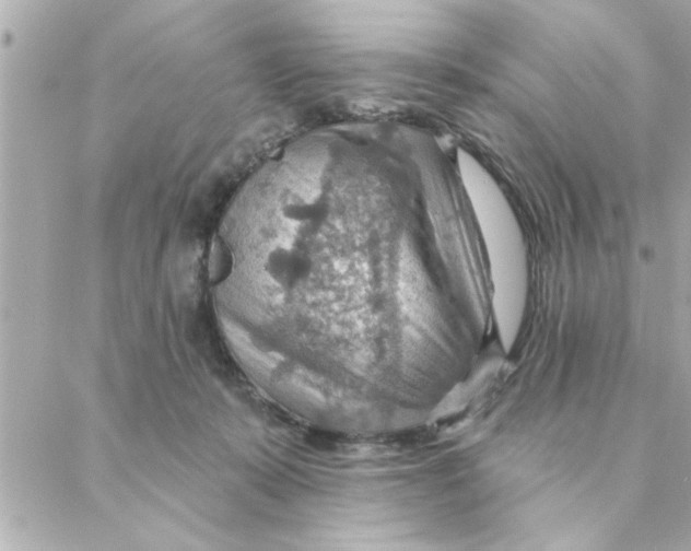 X0000088160319200706051058