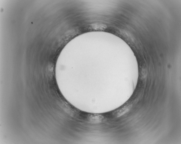 X0000088160321200706051058