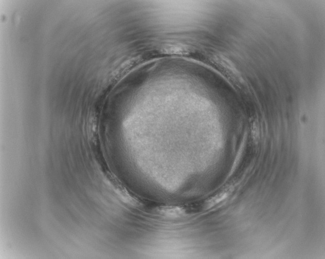 X0000088160322200706051058