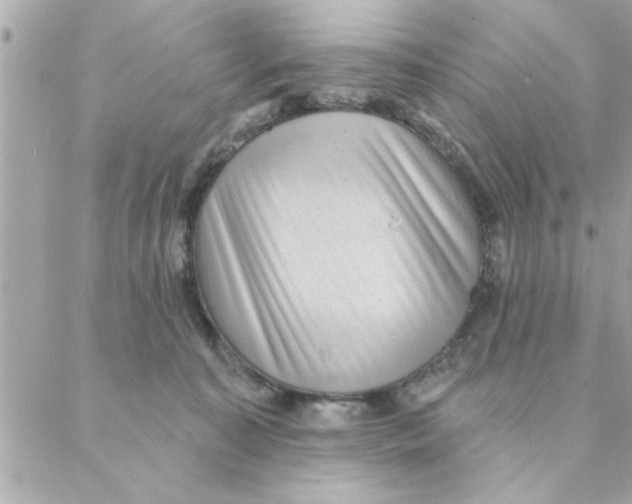 X0000088160323200706051058