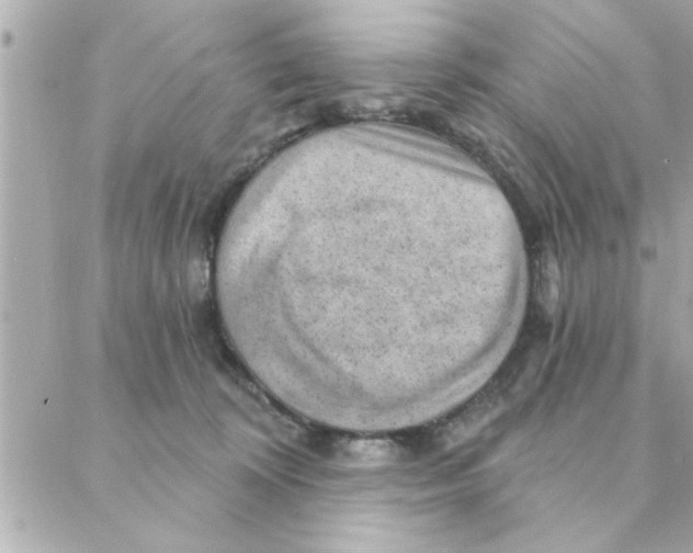 X0000088160324200706051058