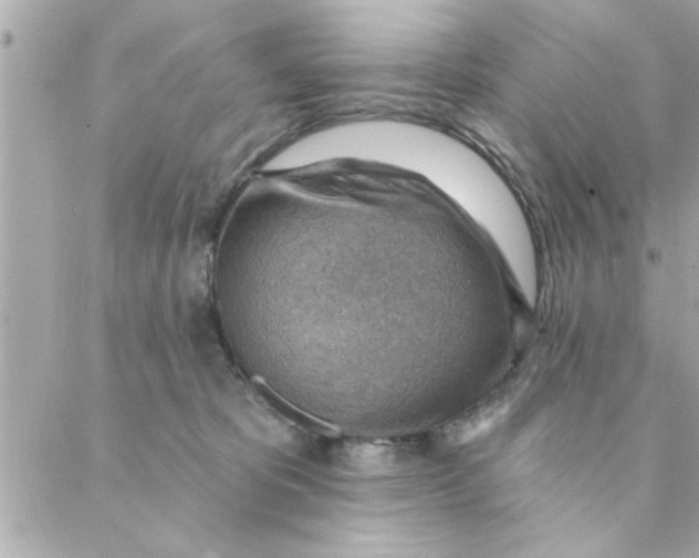 X0000088160325200706051058