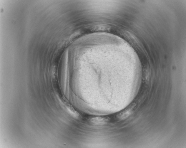 X0000088160326200706051058