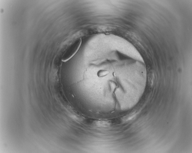 X0000088160327200706051058