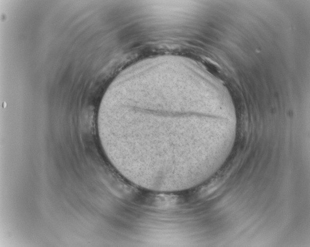 X0000088160328200706051058