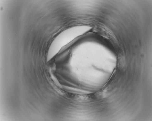 X0000088160329200706051058