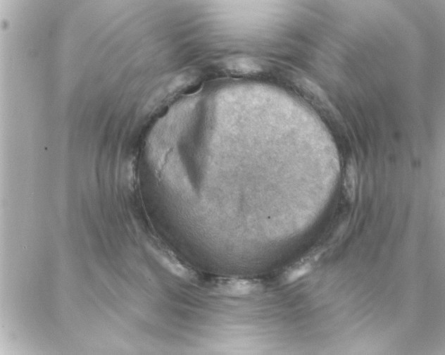 X0000088160330200706051058