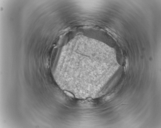 X0000088160331200706051058