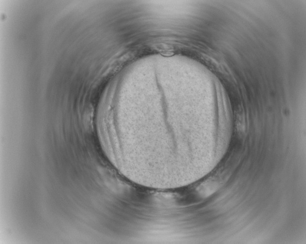 X0000088160332200706051057