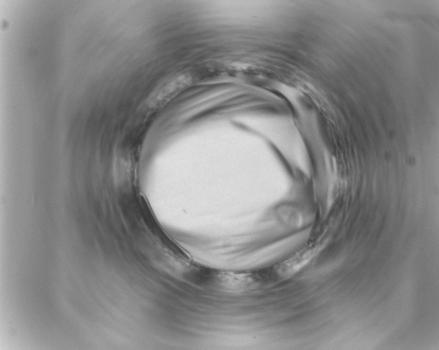 X0000088160333200706051057