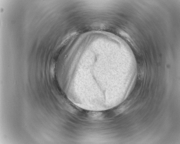 X0000088160334200706051057