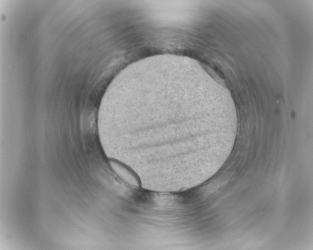 X0000088160336200706051057