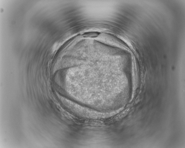 X0000088160337200706051057