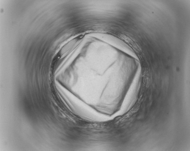 X0000088160338200706051057