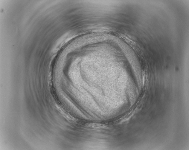 X0000088160339200706051057